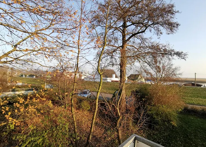 Boddenkieker 20 * ツィングシュト